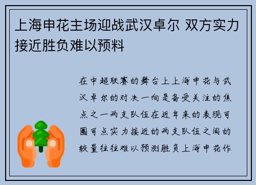 上海申花主场迎战武汉卓尔 双方实力接近胜负难以预料